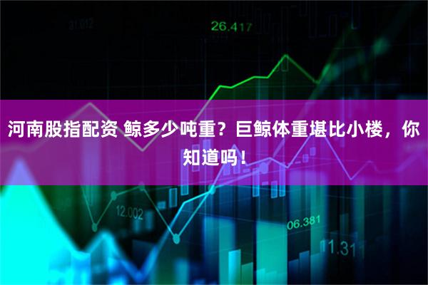 河南股指配资 鲸多少吨重?巨鲸体重堪比小楼,你知道吗!